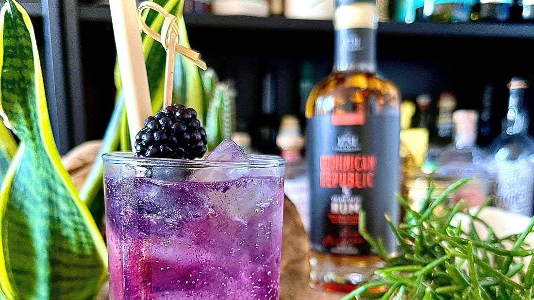 1731 Cocktail Blackberry Fizz - Craft & Spiced Rum Box